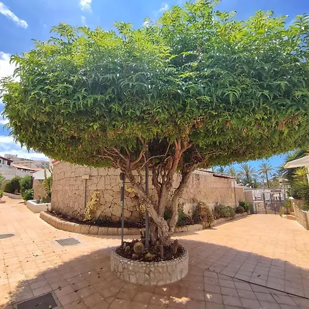 Paraiso Royal - Modern 1 Bedroom With Terrace In Playa De Americas * Arona (Tenerife)